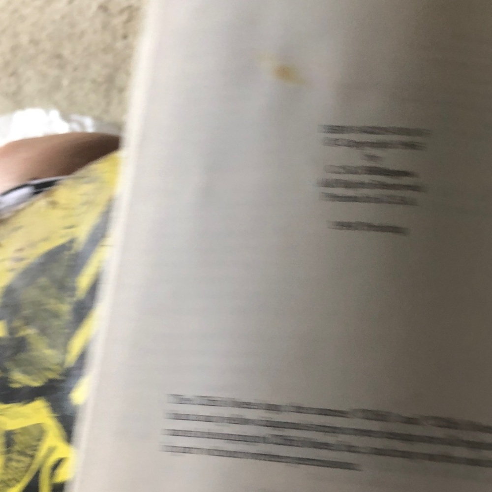 Notes Yellow Cat in the Rye Study Guide - - Picture 2 of 4